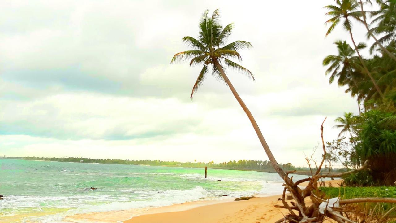 Akurala Beach Boutique Resort エクステリア 写真