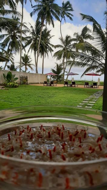 Akurala Beach Boutique Resort エクステリア 写真
